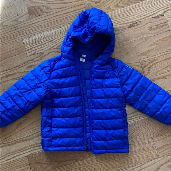 GAP Other - Gap royal blue primaloft jacket